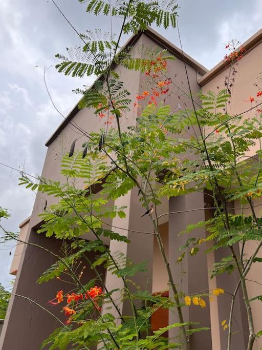 Villa 4 Chambres Avec Piscine Sur Kribi Exterior photo